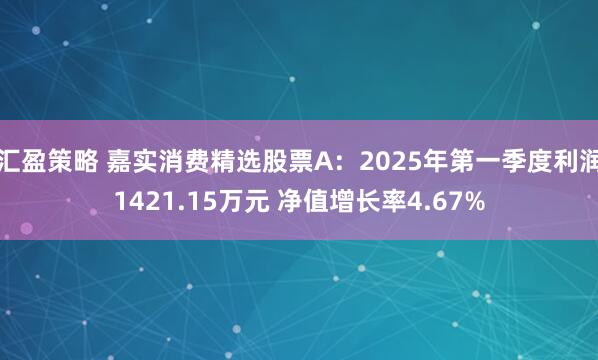 汇盈策略 嘉实消费精选股票A：2025年第一季度利润1421.15万元 净值增长率4.67%