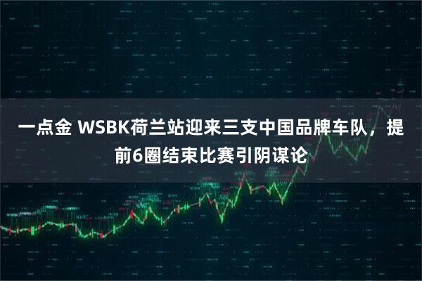 一点金 WSBK荷兰站迎来三支中国品牌车队，提前6圈结束比赛引阴谋论