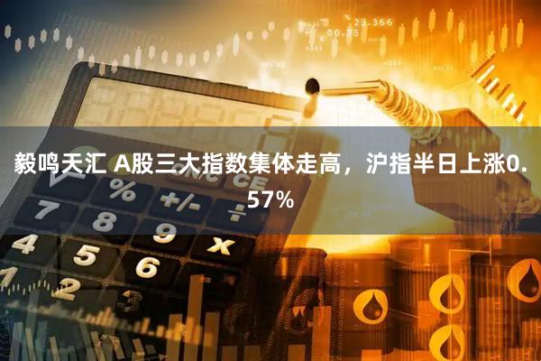 毅鸣天汇 A股三大指数集体走高，沪指半日上涨0.57%